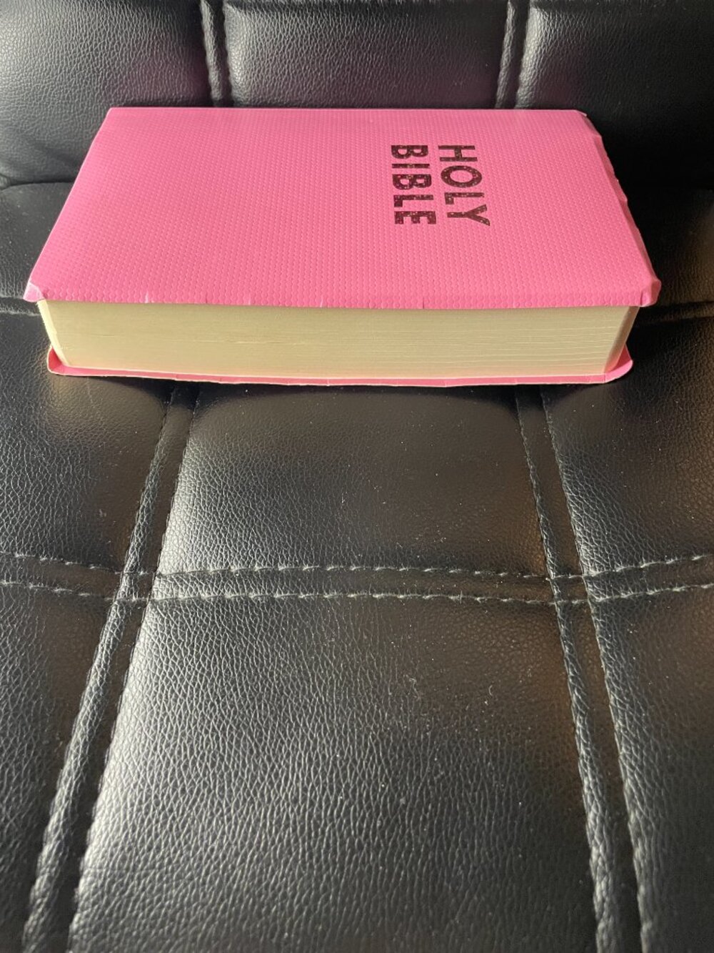 Holy Bible-Paperback Pink Cover - Picture 7 of 8